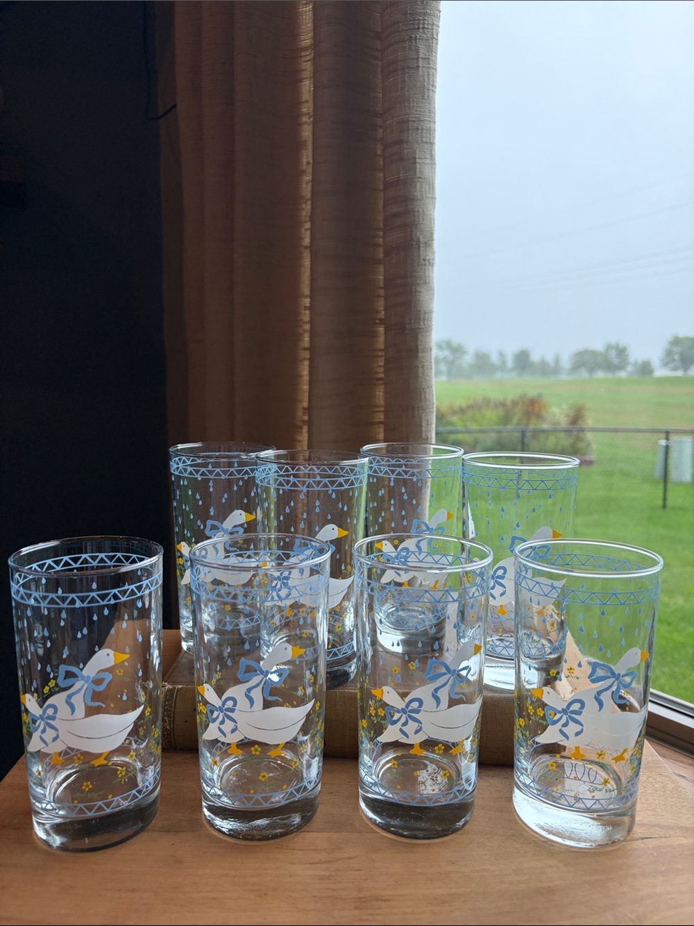 Vintage 1987 Goose Print Glasses- set of 8